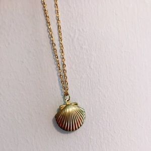 Golden Sea Shell locket necklace!